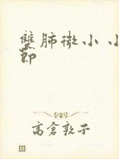 双肺微小 小结节