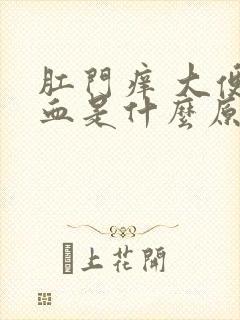 肛门痒 大便出血是什么原因