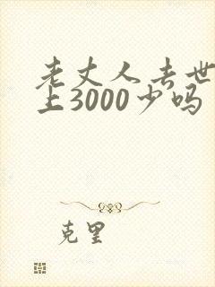 老丈人去世女婿上3000少吗