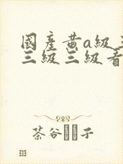 国产黄a级三级三级三级看三级封面