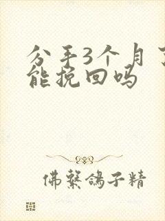 分手3个月了还能挽回吗封面