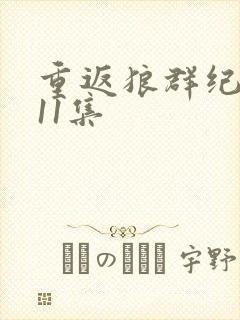 重返狼群纪录片11集