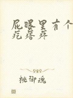 屁眼里有个硬的疙瘩疼