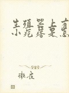 生殖器上有几个小疙瘩是怎么回事