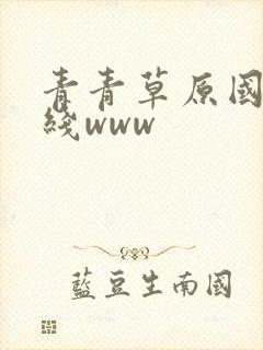 青青草原国产在线www