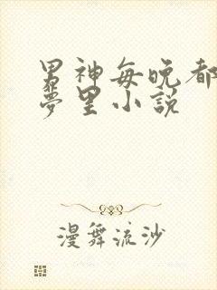 男神每晚都到我梦里小说封面