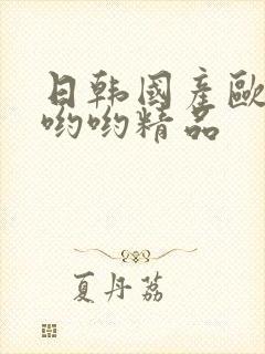 日韩国产欧美色哟哟精品