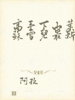 高手下山叶君临苏雪儿最新章节