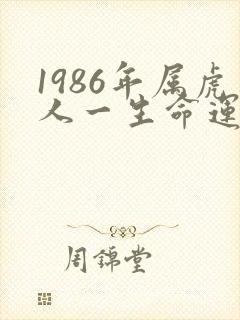 1986年属虎人一生命运如何