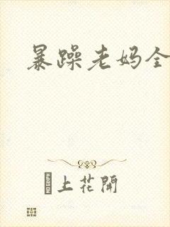 暴躁老妈全集