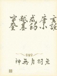 穿越成唐玄宗刚登基的小说