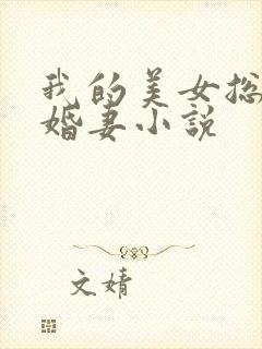 我的美女总裁未婚妻小说封面