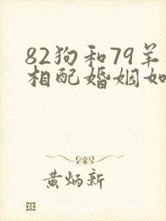 82狗和79羊相配婚姻如何