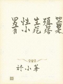 男性生殖器表面有小疙瘩是怎么回事