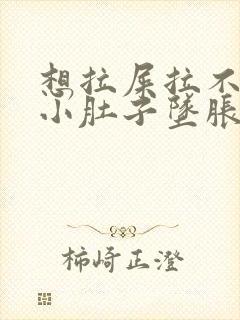 想拉屎拉不出来小肚子坠胀怎么办