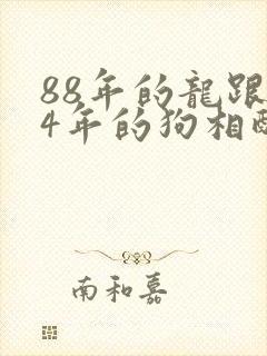 88年的龙跟94年的狗相配吗