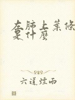 左肺上叶条索影是什么