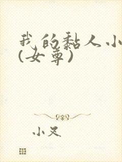 我的黏人小夫郎(女尊)