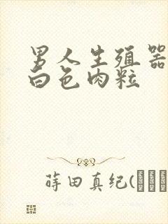 男人生殖器长了白色肉粒