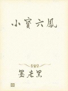 小宝六凤封面
