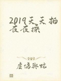 2019天天拍夜夜操
