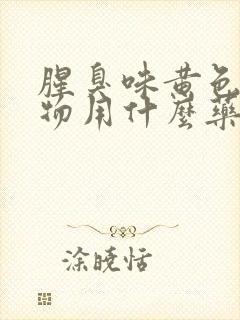 腥臭味黄色分泌物用什么药