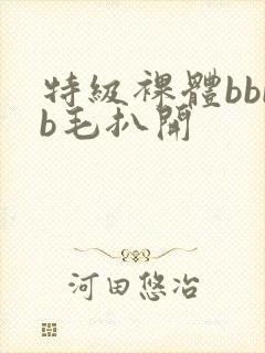 特级裸体bbbb毛扒开