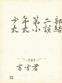 少年第二部房东太太小说结局