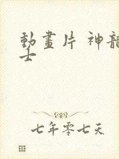 动画片 神龙斗士