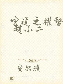 官道之权势滔天 赵小二