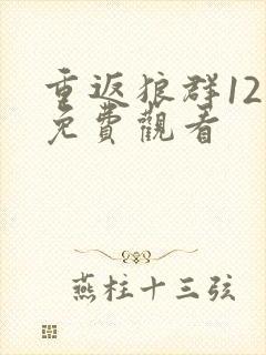 重返狼群12集免费观看封面