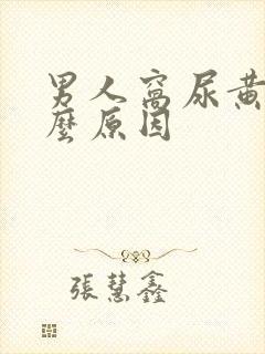 男人窝尿黄是什么原因