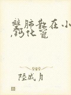 双肺散在小结节,钙化灶