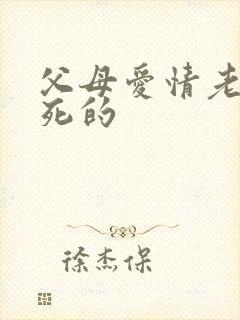 父母爱情老丁咋死的