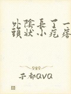 外阴长了一个乳头状小疙瘩