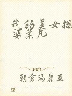 我的美女总裁老婆叶凡