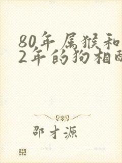 80年属猴和82年的狗相配吗