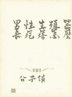 男性生殖器上面长疙瘩怎么消除