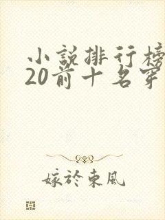 小说排行榜2020前十名穿越封面