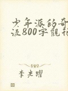 少年派的奇幻漂流800字观后感封面