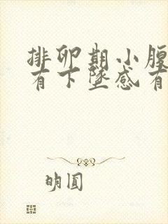 排卵期小腹胀痛有下坠感有大便感