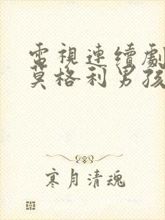 电视连续剧我的莫格利男孩封面