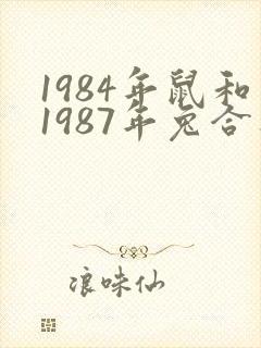 1984年鼠和1987年兔合不合婚姻