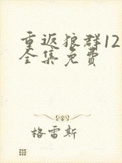 重返狼群12集全集免费