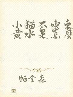 小猫不吃东西吐黄水是怎么回事封面