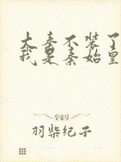 大秦不装了你爹我是秦始皇赵浪小说封面