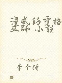 漫威的霍格沃兹巫师 小说