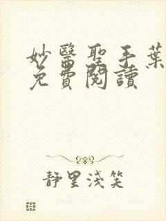 妙医圣手叶皓轩免费阅读封面