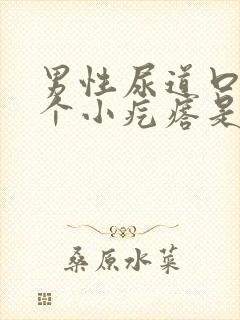 男性尿道口长一个小疙瘩是怎么回事儿