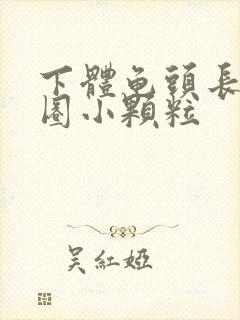 下体龟头长了一圈小颗粒